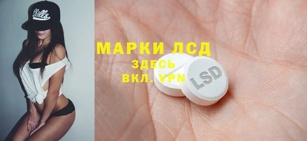 гидра Алзамай