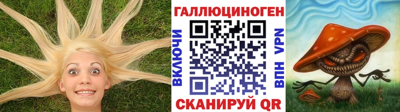 Псилоцибиновые грибы Psilocybe  MEGA зеркало  Аргун 